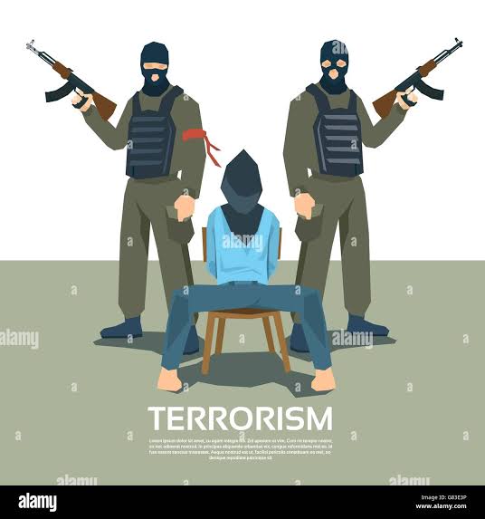 Adamawa Police Confirm Madagali Attack