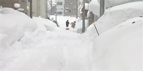 Japan snowfall 
